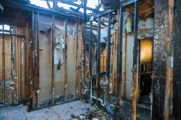 Professional Soot Cleanup technician working in Hughesville, MD
